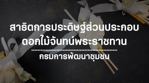 Ep 8. สาธิตการประดิษฐ์ดอกชบาหนู